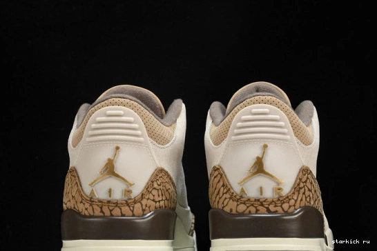 Retro Jordan  3  CT8532-102 Palomino CT8532-102 0925